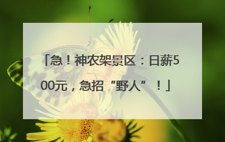 急！神农架景区：日薪500元，急招“野人”！
