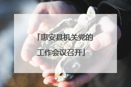 惠安县机关党的工作会议召开
