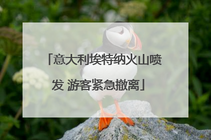 意大利埃特纳火山喷发 游客紧急撤离