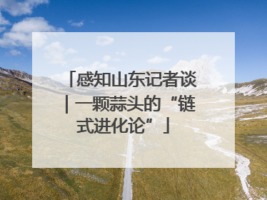 感知山东记者谈｜一颗蒜头的“链式进化论”
