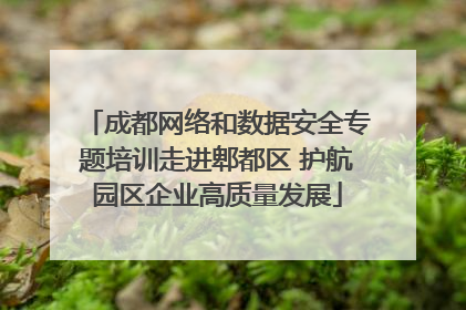 成都网络和数据安全专题培训走进郫都区 护航园区企业高质量发展