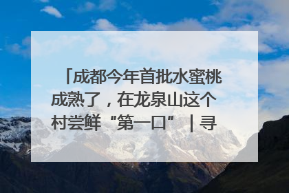 成都今年首批水蜜桃成熟了，在龙泉山这个村尝鲜“第一口”｜寻找和美乡村推荐官