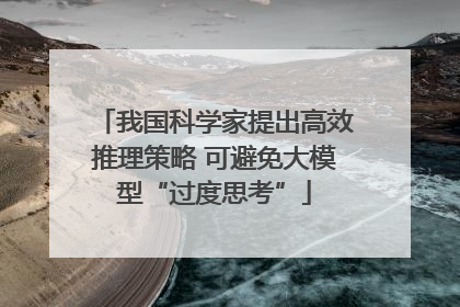 我国科学家提出高效推理策略 可避免大模型“过度思考”