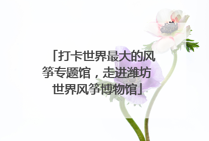 打卡世界最大的风筝专题馆，走进潍坊世界风筝博物馆