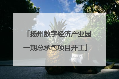 扬州数字经济产业园一期总承包项目开工