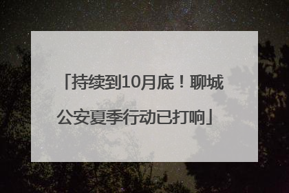 持续到10月底！聊城公安夏季行动已打响