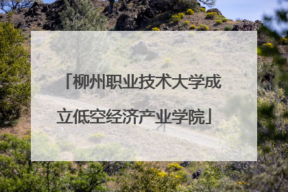 柳州职业技术大学成立低空经济产业学院