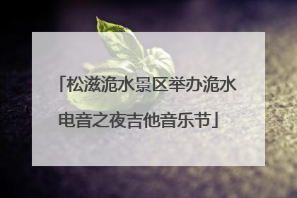 松滋洈水景区举办洈水电音之夜吉他音乐节