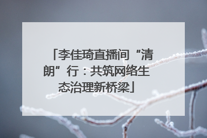 李佳琦直播间“清朗”行：共筑网络生态治理新桥梁