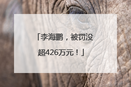 李海鹏，被罚没超426万元！