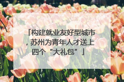构建就业友好型城市，苏州为青年人才送上四个“大礼包”