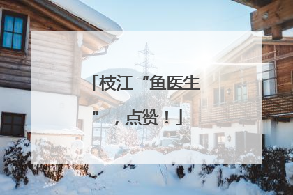 枝江“鱼医生”，点赞！