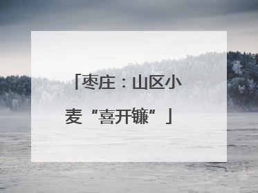枣庄：山区小麦“喜开镰”