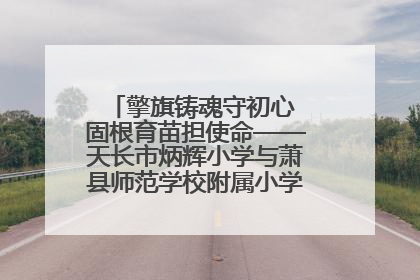擎旗铸魂守初心 固根育苗担使命——天长市炳辉小学与萧县师范学校附属小学结对共建活动纪实