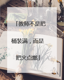 教师不是把桶装满，而是把火点燃