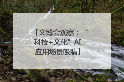 文博会观察：“科技+文化”AI应用场景吸睛