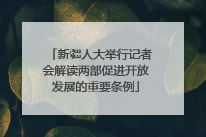 新疆人大举行记者会解读两部促进开放发展的重要条例