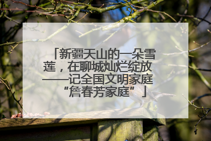 新疆天山的一朵雪莲，在聊城灿烂绽放——记全国文明家庭“詹春芳家庭”