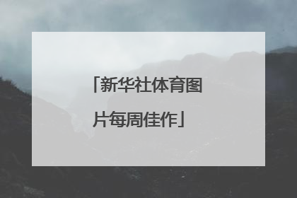 新华社体育图片每周佳作