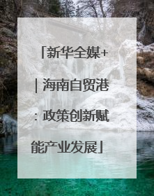 新华全媒+｜海南自贸港：政策创新赋能产业发展