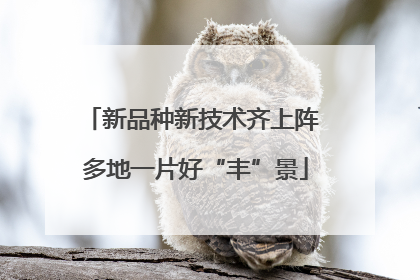 新品种新技术齐上阵 多地一片好“丰”景