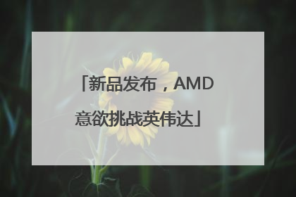 新品发布，AMD意欲挑战英伟达
