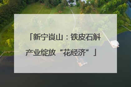 新宁崀山：铁皮石斛产业绽放“花经济”