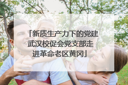 新质生产力下的党建 武汉校促会党支部走进革命老区黄冈