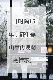 时隔15年，野生穿山甲再现湖南桂东