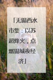 无锡西水市集：以苏超烽火，点燃锡城夜经济