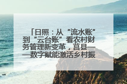 日照：从“流水账”到“云台账”看农村财务管理新变革，莒县——数字赋能激活乡村振兴“一池春水”