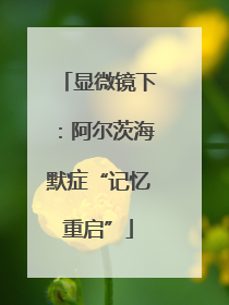 显微镜下：阿尔茨海默症“记忆重启”