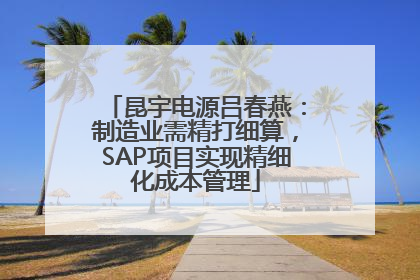 昆宇电源吕春燕：制造业需精打细算，SAP项目实现精细化成本管理
