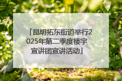 昆明拓东街道举行2025年第二季度楼宇宣讲团宣讲活动