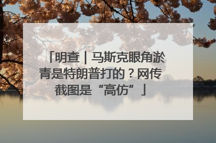 明查｜马斯克眼角淤青是特朗普打的？网传截图是“高仿”