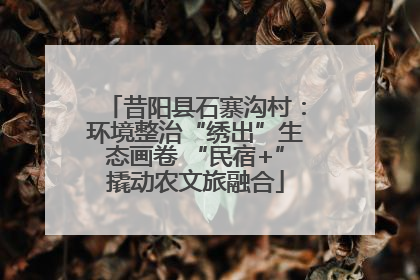 昔阳县石寨沟村：环境整治“绣出”生态画卷 “民宿+”撬动农文旅融合