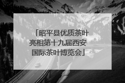 昭平县优质茶叶亮相第十九届西安国际茶叶博览会