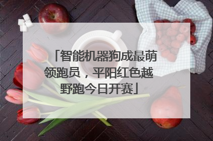 智能机器狗成最萌领跑员，平阳红色越野跑今日开赛