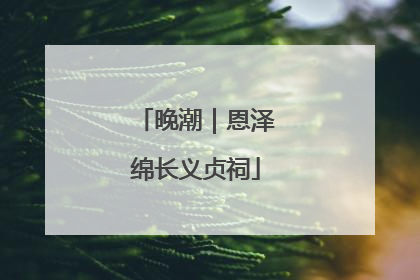 晚潮｜恩泽绵长义贞祠
