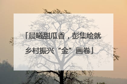 晨曦甜瓜香，彭集绘就乡村振兴“金”画卷