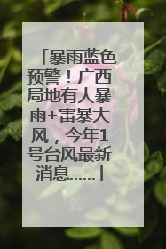 暴雨蓝色预警！广西局地有大暴雨+雷暴大风，今年1号台风最新消息……