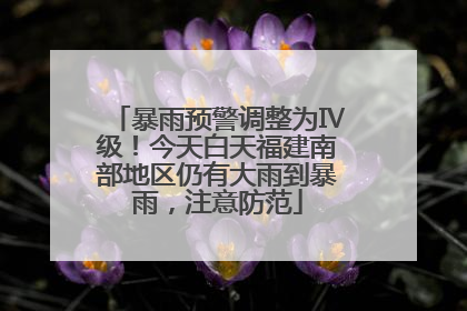 暴雨预警调整为Ⅳ级！今天白天福建南部地区仍有大雨到暴雨，注意防范