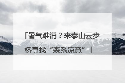 暑气难消？来泰山云步桥寻找“森系凉意”