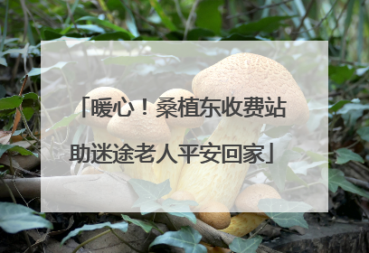 暖心！桑植东收费站助迷途老人平安回家