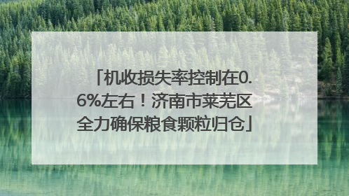 机收损失率控制在0.6%左右！济南市莱芜区全力确保粮食颗粒归仓
