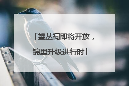 望丛祠即将开放，锦里升级进行时