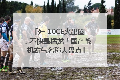 歼-10CE火出圈，不愧是猛龙！国产战机霸气名称大盘点