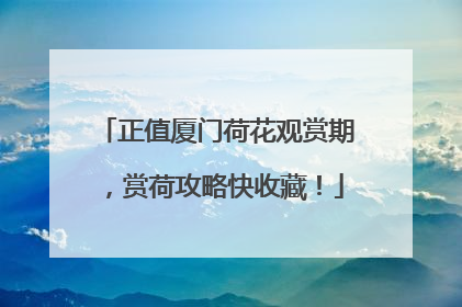 正值厦门荷花观赏期，赏荷攻略快收藏！
