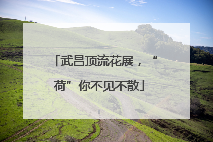 武昌顶流花展，“荷”你不见不散