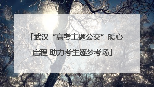 武汉“高考主题公交”暖心启程 助力考生逐梦考场